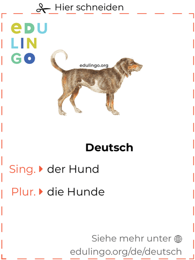 Hund auf Deutsch Vokabelkartei zum Ausdrucken, Üben und Lernen