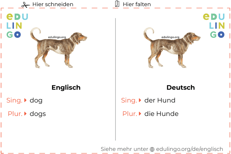 Hund auf Englisch Vokabelkartei zum Ausdrucken, Üben und Lernen