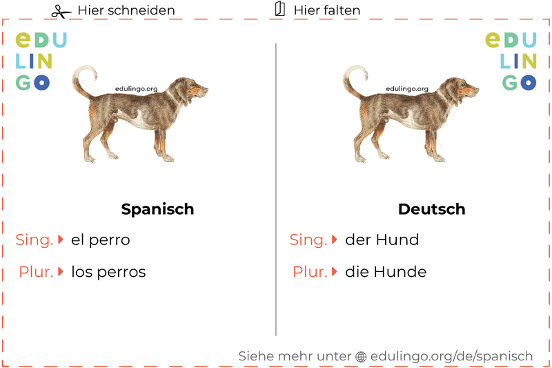 Hund auf Spanisch Vokabelkartei zum Ausdrucken, Üben und Lernen