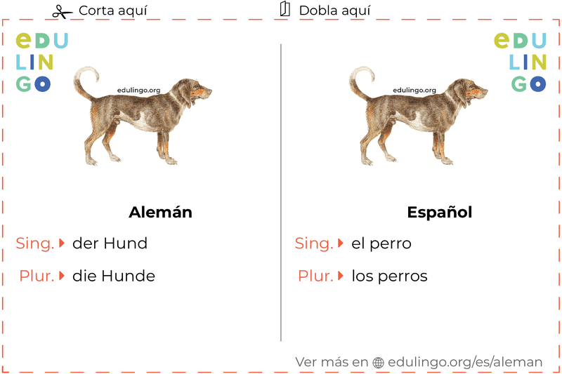 Ficha de Vocabulario Perro en alemán para imprimir, practicar y aprender