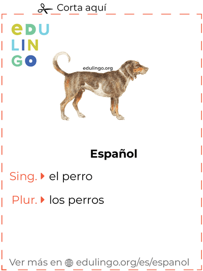 Ficha de Vocabulario Perro en español para imprimir, practicar y aprender