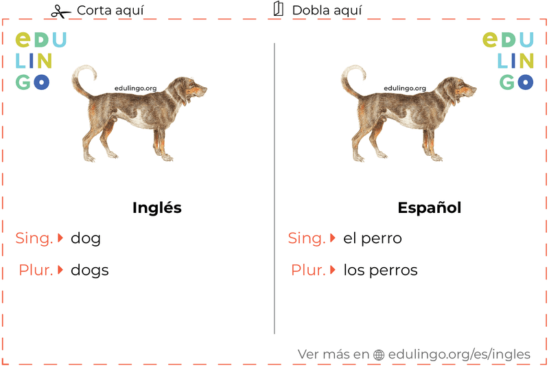 Ficha de Vocabulario Perro en inglés para imprimir, practicar y aprender