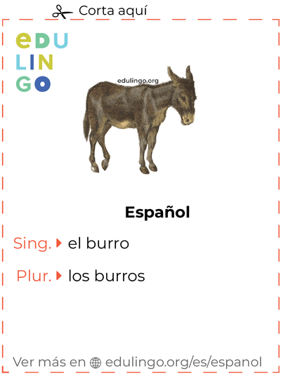 Ficha de Vocabulario Burro en español para imprimir, practicar y aprender