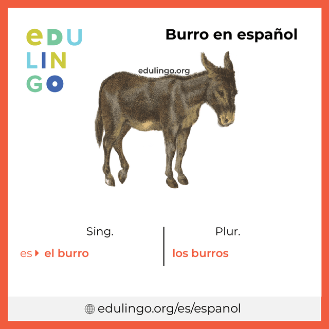 Imagen de vocabulario Burro en español con singular y plural para descargar e imprimir