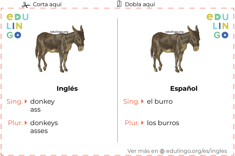 Ficha de Vocabulario Burro en inglés para imprimir, practicar y aprender