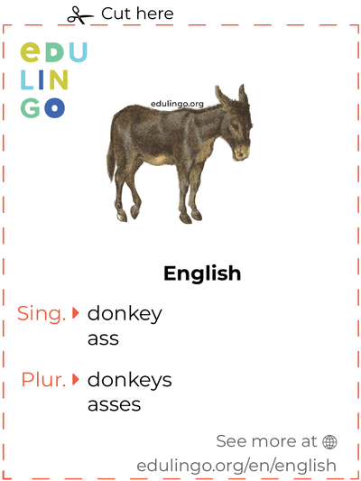 Donkey in English vocabulary flashcard for printing, practicing and learning