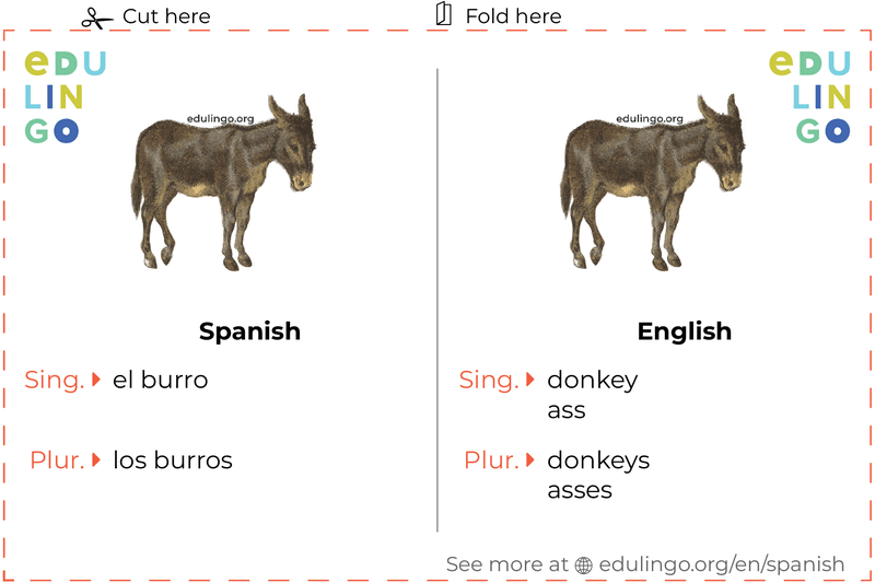 Donkey in Spanish vocabulary flashcard for printing, practicing and learning