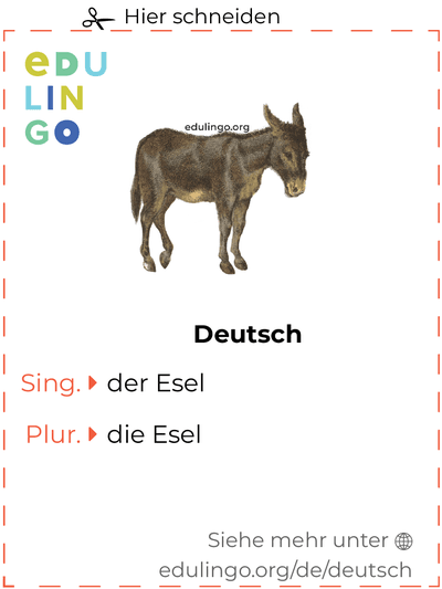 Esel auf Deutsch Vokabelkartei zum Ausdrucken, Üben und Lernen