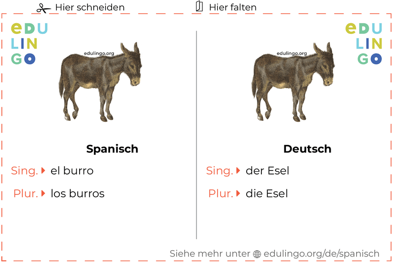 Esel auf Spanisch Vokabelkartei zum Ausdrucken, Üben und Lernen