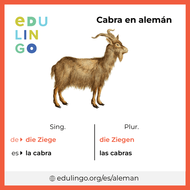 Imagen de vocabulario Cabra en alemán con singular y plural para descargar e imprimir