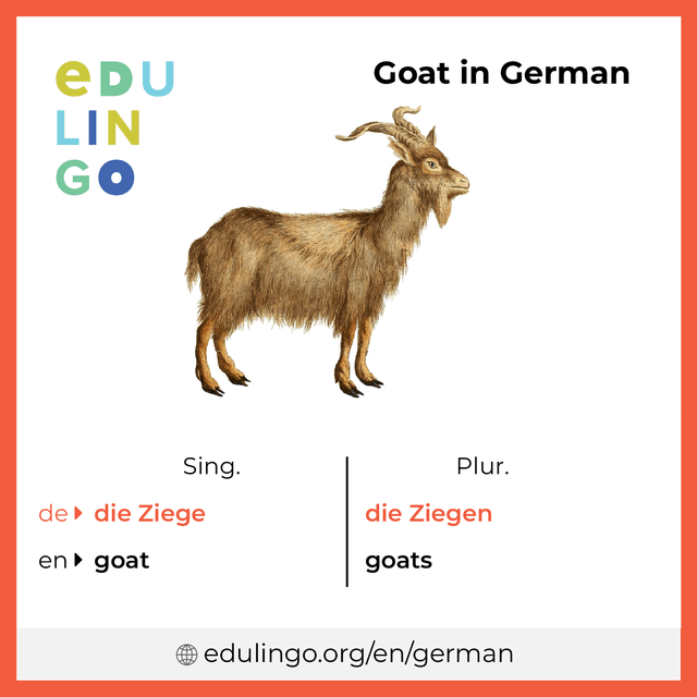 Goat in German vocabulary picture with singular and plural for download and printing