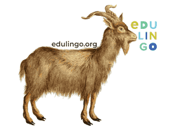Thumbnail: Goat in English