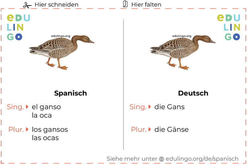 Gans auf Spanisch Vokabelkartei zum Ausdrucken, Üben und Lernen