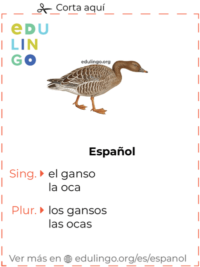 Ficha de Vocabulario Ganso en español para imprimir, practicar y aprender