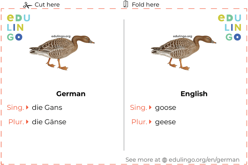 Goose in German vocabulary flashcard for printing, practicing and learning