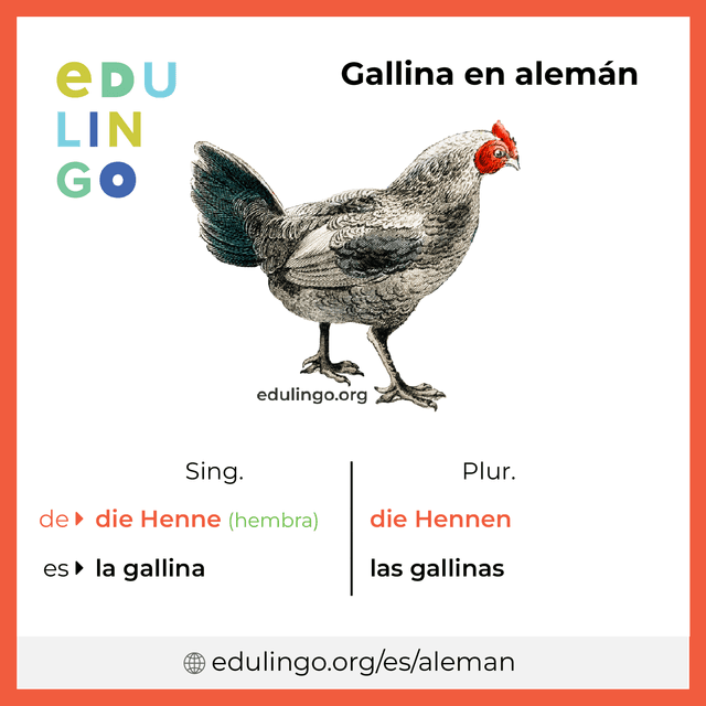 Imagen de vocabulario Gallina en alemán con singular y plural para descargar e imprimir