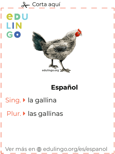 Ficha de Vocabulario Gallina en español para imprimir, practicar y aprender