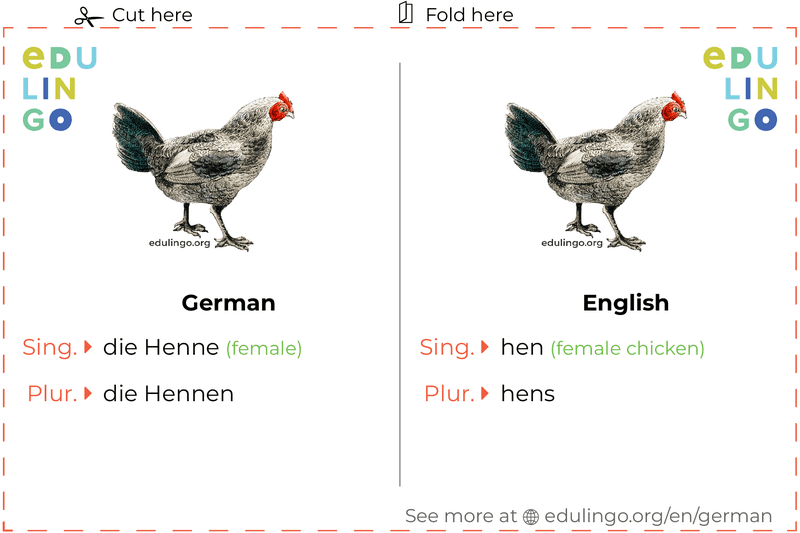 Hen in German vocabulary flashcard for printing, practicing and learning