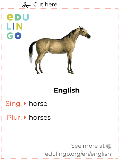 Horse in English vocabulary flashcard for printing, practicing and learning