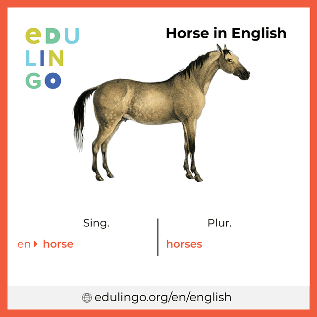 Horse in English vocabulary picture with singular and plural for download and printing