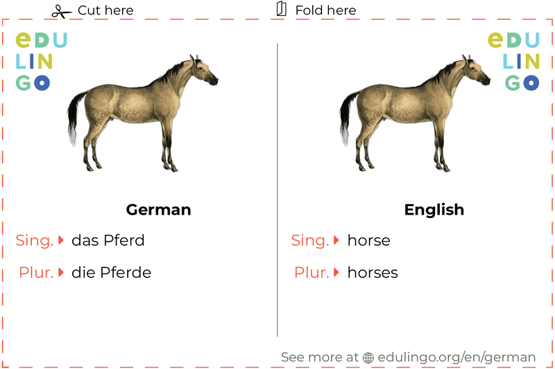 Horse in German vocabulary flashcard for printing, practicing and learning