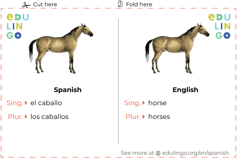 Horse in Spanish vocabulary flashcard for printing, practicing and learning