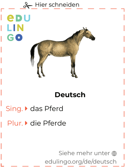 Pferd auf Deutsch Vokabelkartei zum Ausdrucken, Üben und Lernen