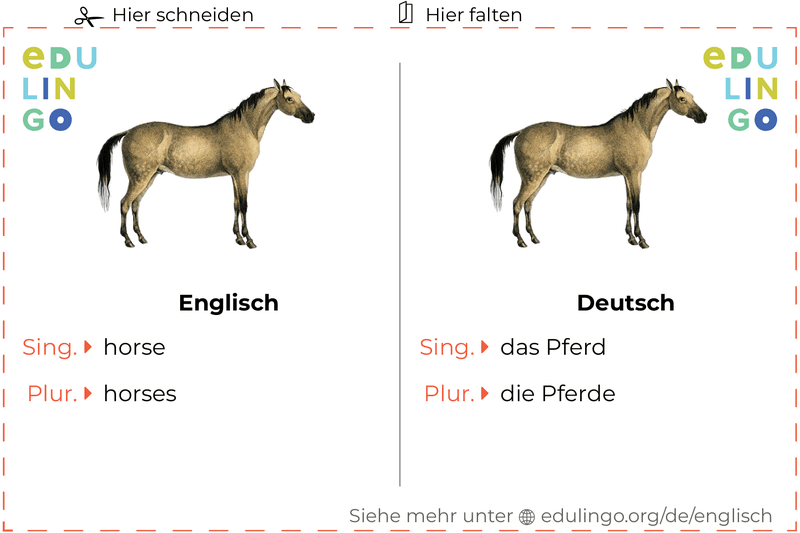 Pferd auf Englisch Vokabelkartei zum Ausdrucken, Üben und Lernen