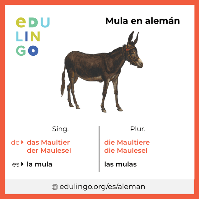 Imagen de vocabulario Mula en alemán con singular y plural para descargar e imprimir