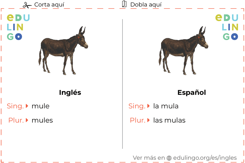 Ficha de Vocabulario Mula en inglés para imprimir, practicar y aprender