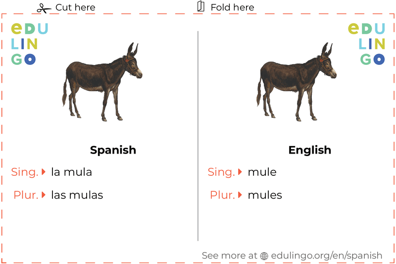 Mule in Spanish vocabulary flashcard for printing, practicing and learning