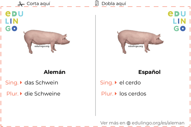 Ficha de Vocabulario Cerdo en alemán para imprimir, practicar y aprender