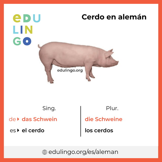 Imagen de vocabulario Cerdo en alemán con singular y plural para descargar e imprimir