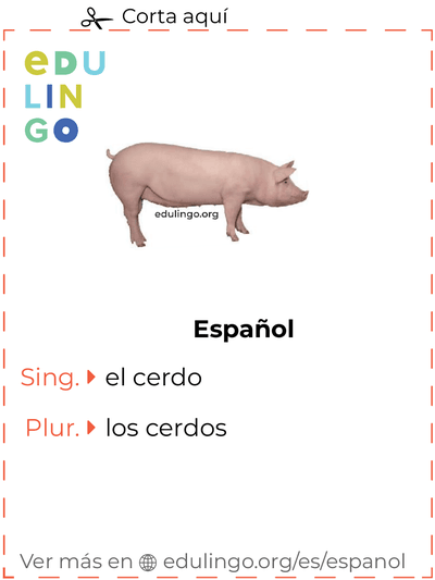 Ficha de Vocabulario Cerdo en español para imprimir, practicar y aprender
