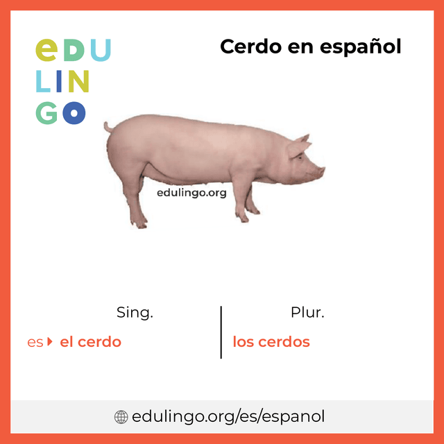Imagen de vocabulario Cerdo en español con singular y plural para descargar e imprimir