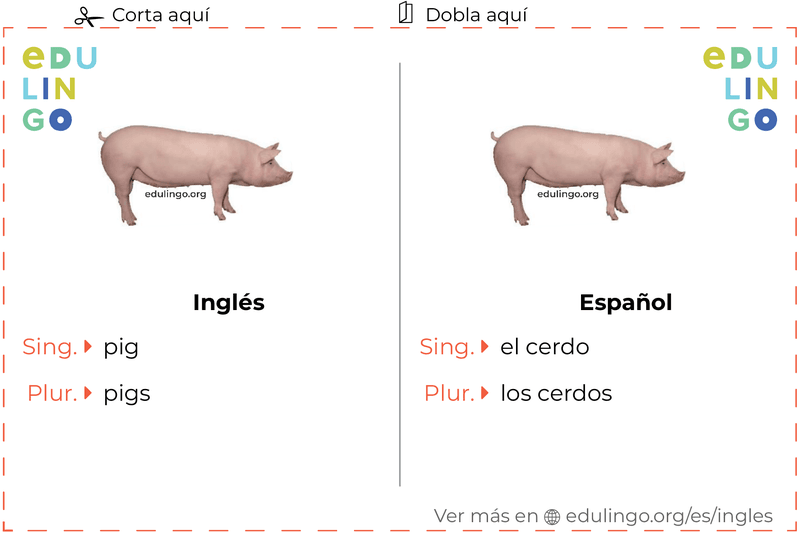 Ficha de Vocabulario Cerdo en inglés para imprimir, practicar y aprender