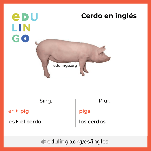 Imagen de vocabulario Cerdo en inglés con singular y plural para descargar e imprimir