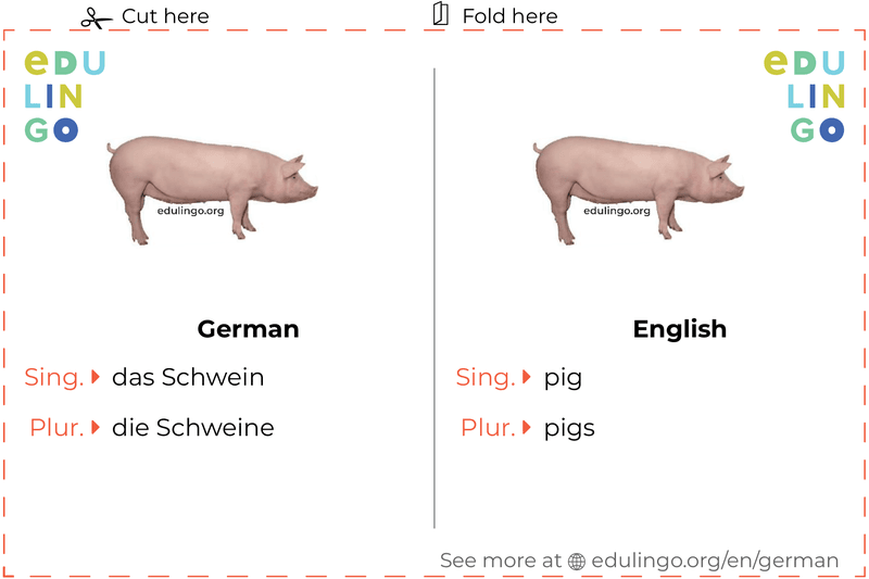 Pig in German vocabulary flashcard for printing, practicing and learning