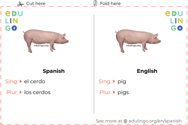 Pig in Spanish vocabulary flashcard for printing, practicing and learning