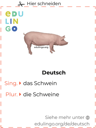 Schwein auf Deutsch Vokabelkartei zum Ausdrucken, Üben und Lernen