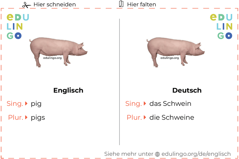 Schwein auf Englisch Vokabelkartei zum Ausdrucken, Üben und Lernen