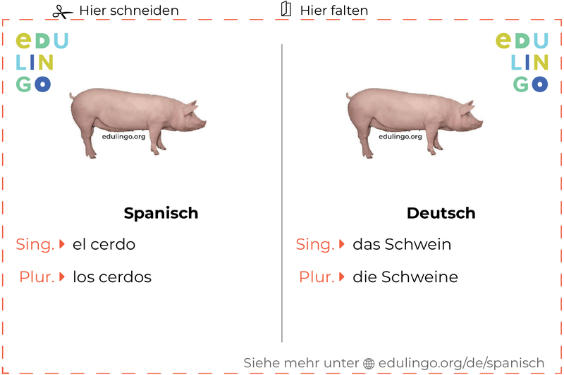 Schwein auf Spanisch Vokabelkartei zum Ausdrucken, Üben und Lernen