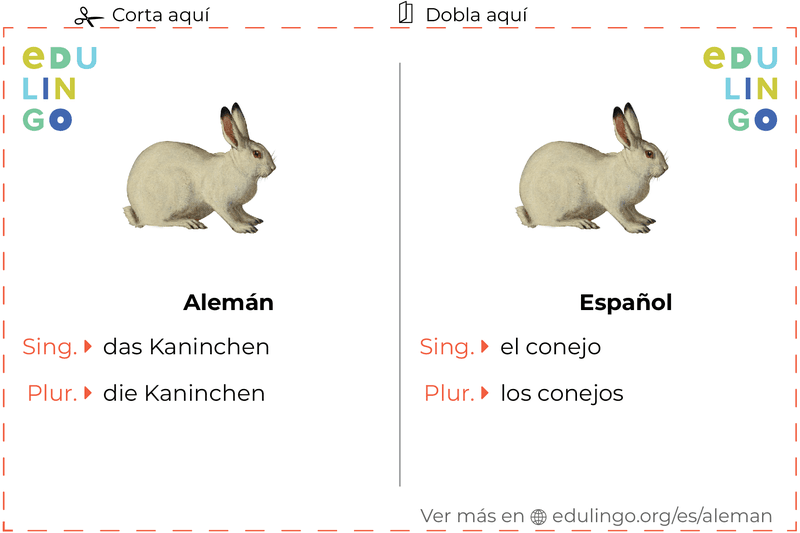 Ficha de Vocabulario Conejo en alemán para imprimir, practicar y aprender
