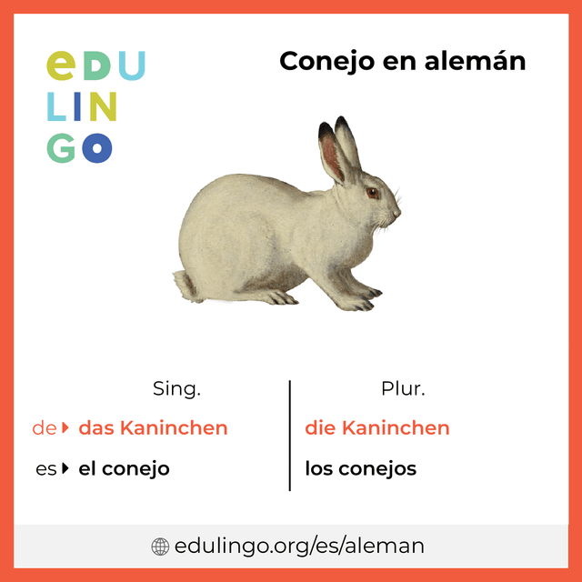 Imagen de vocabulario Conejo en alemán con singular y plural para descargar e imprimir