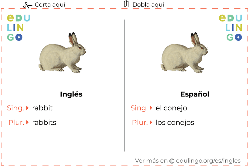 Ficha de Vocabulario Conejo en inglés para imprimir, practicar y aprender