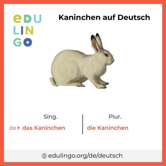 Kaninchen auf Deutsch Vokabelbild mit Singular und Plural zum Herunterladen und Ausdrucken