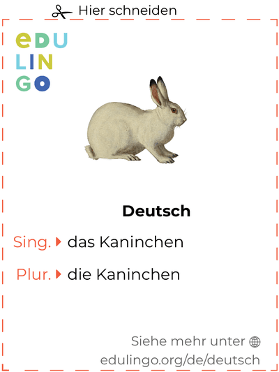 Kaninchen auf Deutsch Vokabelkartei zum Ausdrucken, Üben und Lernen