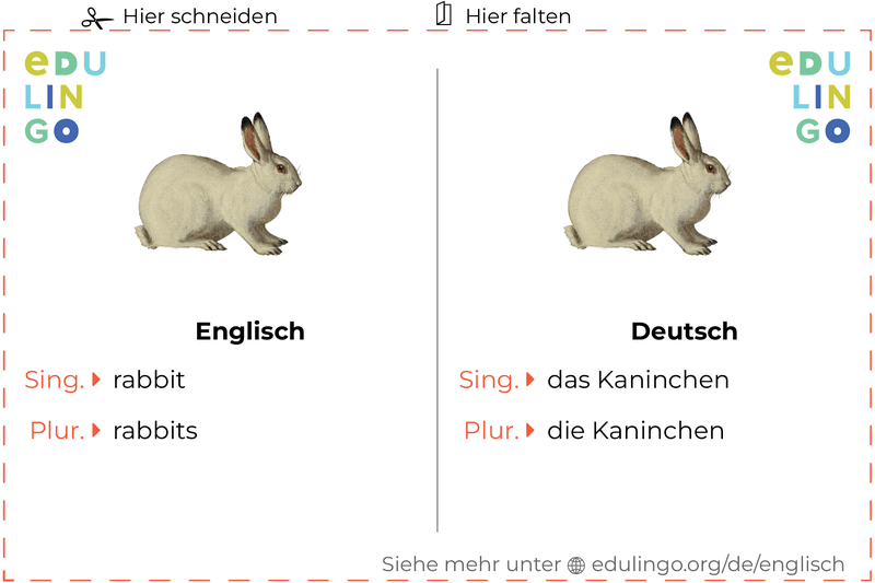 Kaninchen auf Englisch Vokabelkartei zum Ausdrucken, Üben und Lernen