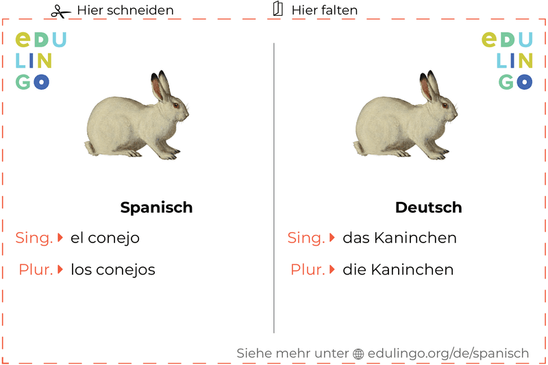 Kaninchen auf Spanisch Vokabelkartei zum Ausdrucken, Üben und Lernen