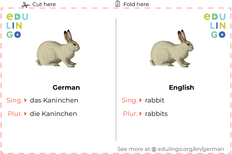 Rabbit in German vocabulary flashcard for printing, practicing and learning